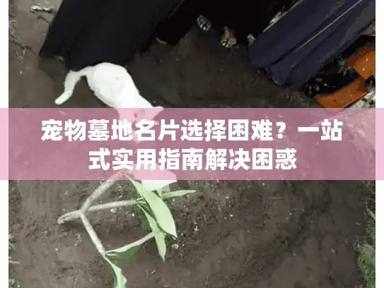 宠物墓地名片选择困难？一站式实用指南解决困惑