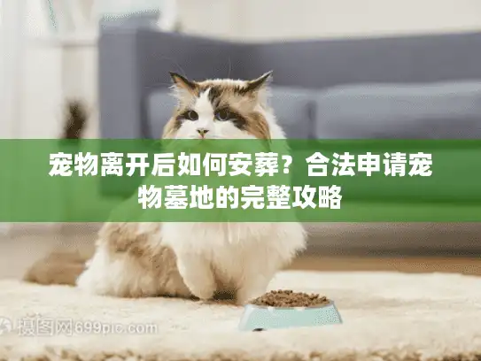宠物离开后如何安葬？合法申请宠物墓地的完整攻略