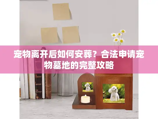 宠物离开后如何安葬？合法申请宠物墓地的完整攻略