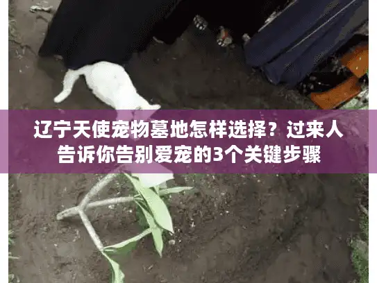辽宁天使宠物墓地怎样选择？过来人告诉你告别爱宠的3个关键步骤