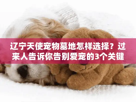 辽宁天使宠物墓地怎样选择？过来人告诉你告别爱宠的3个关键步骤