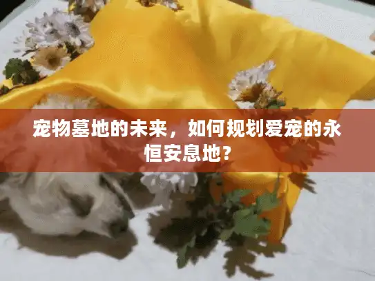 宠物墓地的未来，如何规划爱宠的永恒安息地？