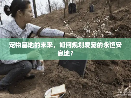 宠物墓地的未来，如何规划爱宠的永恒安息地？