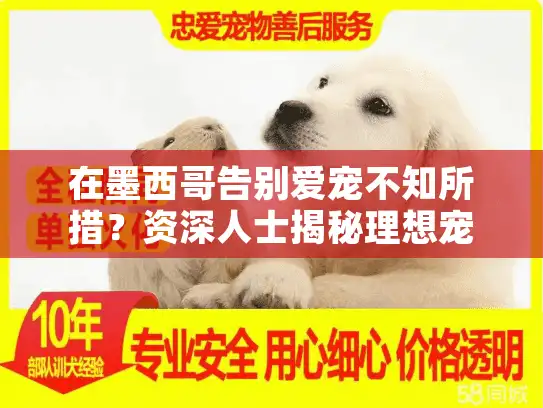在墨西哥告别爱宠不知所措？资深人士揭秘理想宠物墓地选择指南