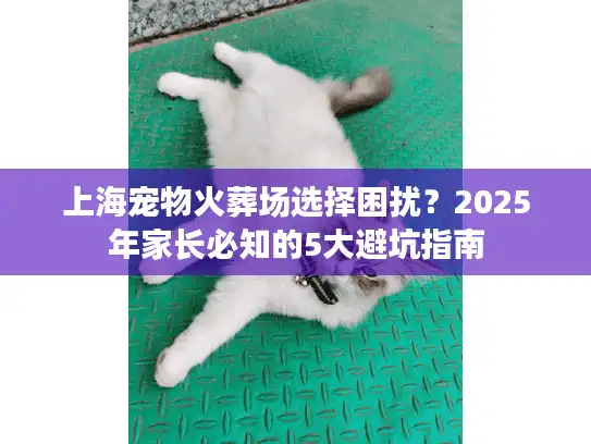 上海宠物火葬场选择困扰？2025年家长必知的5大避坑指南
