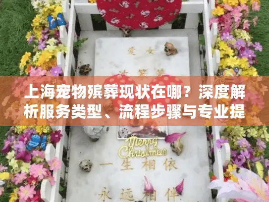 上海宠物殡葬现状在哪？深度解析服务类型、流程步骤与专业提供者
