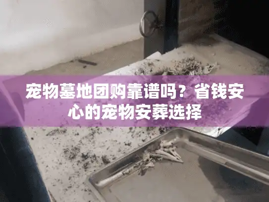 宠物墓地团购靠谱吗？省钱安心的宠物安葬选择