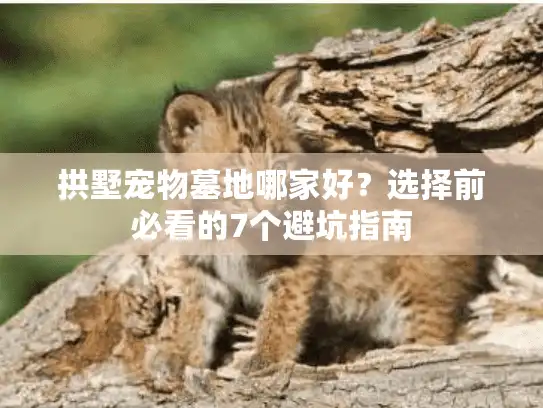 拱墅宠物墓地哪家好？选择前必看的7个避坑指南