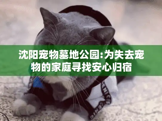 沈阳宠物墓地公园:为失去宠物的家庭寻找安心归宿