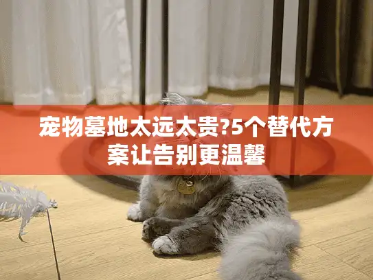 宠物墓地太远太贵?5个替代方案让告别更温馨