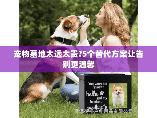 宠物墓地太远太贵?5个替代方案让告别更温馨