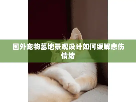 国外宠物墓地景观设计如何缓解悲伤情绪