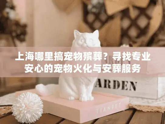 上海哪里搞宠物殡葬？寻找专业安心的宠物火化与安葬服务