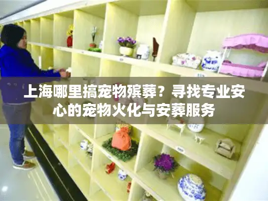 上海哪里搞宠物殡葬？寻找专业安心的宠物火化与安葬服务