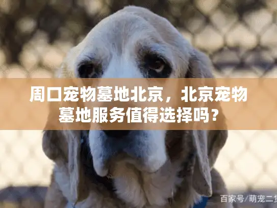 周口宠物墓地北京，北京宠物墓地服务值得选择吗？