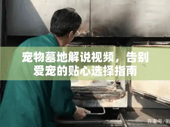 宠物墓地解说视频，告别爱宠的贴心选择指南