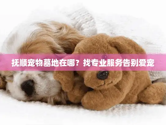 抚顺宠物墓地在哪？找专业服务告别爱宠