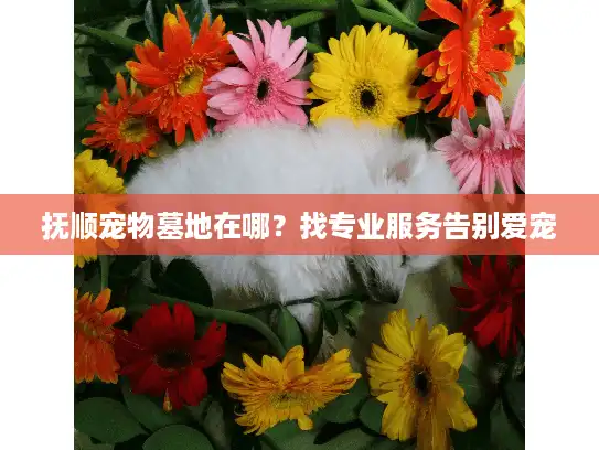 抚顺宠物墓地在哪？找专业服务告别爱宠