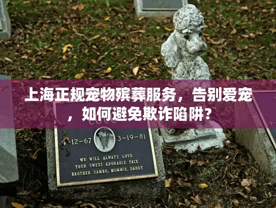 上海正规宠物殡葬服务，告别爱宠，如何避免欺诈陷阱？