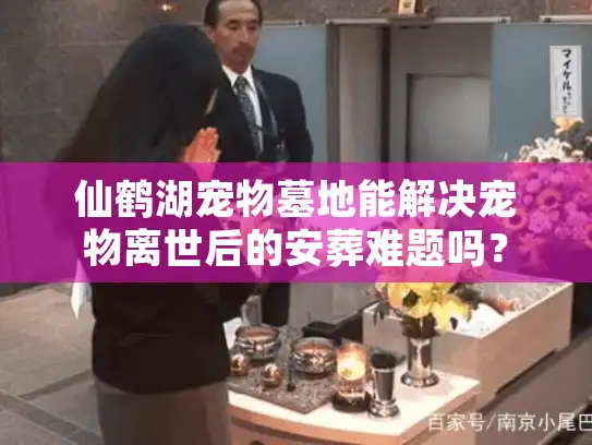 仙鹤湖宠物墓地能解决宠物离世后的安葬难题吗？