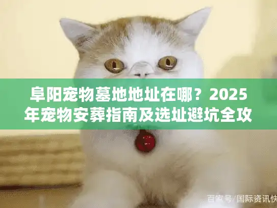 阜阳宠物墓地地址在哪？2025年宠物安葬指南及选址避坑全攻略
