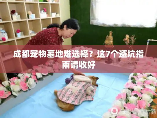 成都宠物墓地难选择？这7个避坑指南请收好
