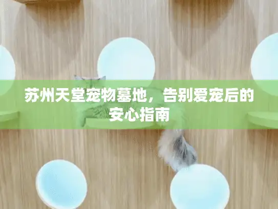 苏州天堂宠物墓地，告别爱宠后的安心指南