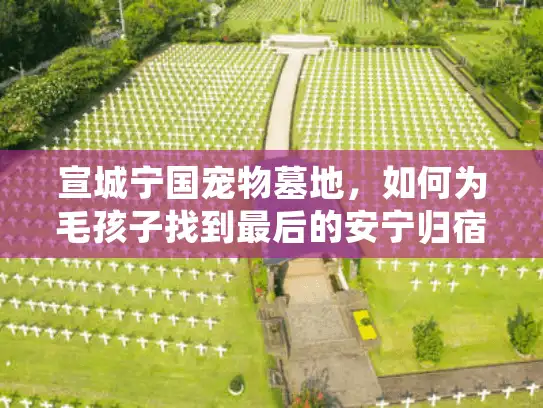 宣城宁国宠物墓地，如何为毛孩子找到最后的安宁归宿？