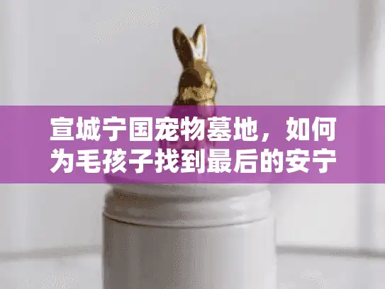 宣城宁国宠物墓地，如何为毛孩子找到最后的安宁归宿？