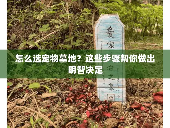 怎么选宠物墓地？这些步骤帮你做出明智决定