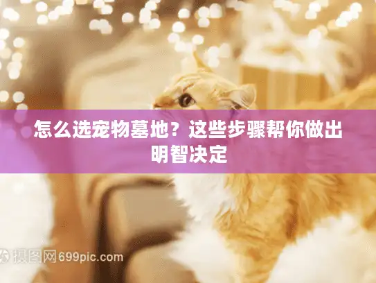怎么选宠物墓地？这些步骤帮你做出明智决定