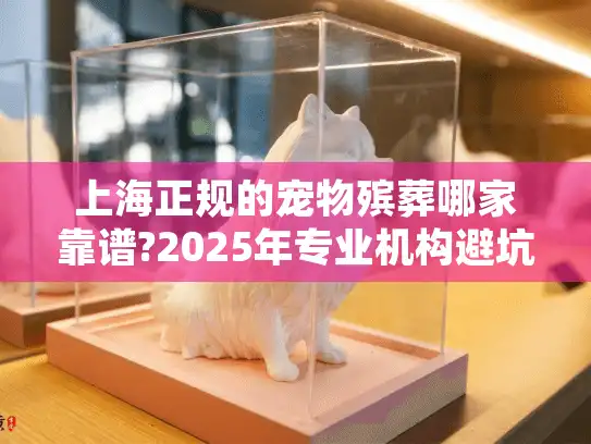 上海正规的宠物殡葬哪家靠谱?2025年专业机构避坑指南