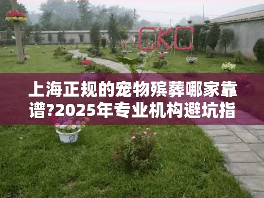 上海正规的宠物殡葬哪家靠谱?2025年专业机构避坑指南