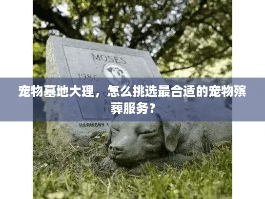 宠物墓地大理，怎么挑选最合适的宠物殡葬服务？