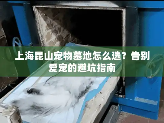 上海昆山宠物墓地怎么选？告别爱宠的避坑指南