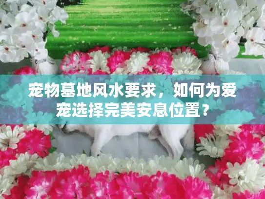 宠物墓地风水要求，如何为爱宠选择完美安息位置？