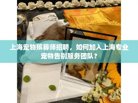 上海宠物殡葬师招聘，如何加入上海专业宠物告别服务团队？