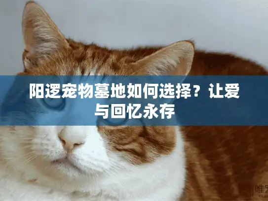 阳逻宠物墓地如何选择？让爱与回忆永存