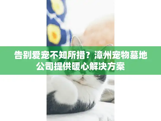 告别爱宠不知所措？漳州宠物墓地公司提供暖心解决方案