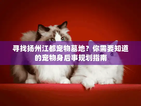 寻找扬州江都宠物墓地？你需要知道的宠物身后事规划指南