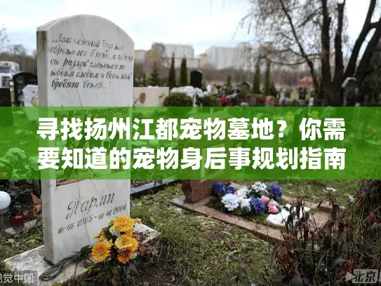 寻找扬州江都宠物墓地？你需要知道的宠物身后事规划指南