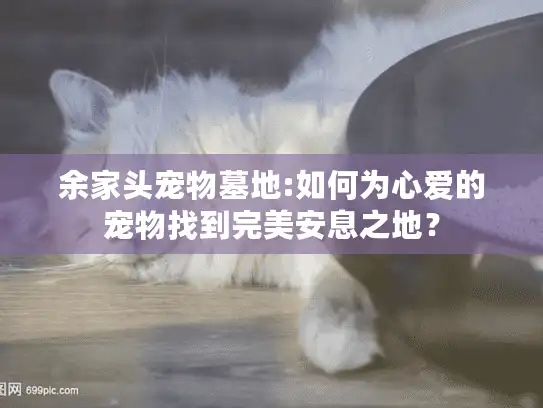 余家头宠物墓地:如何为心爱的宠物找到完美安息之地？