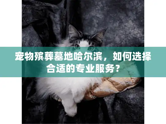 宠物殡葬墓地哈尔滨，如何选择合适的专业服务？