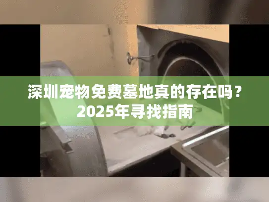 深圳宠物免费墓地真的存在吗？2025年寻找指南
