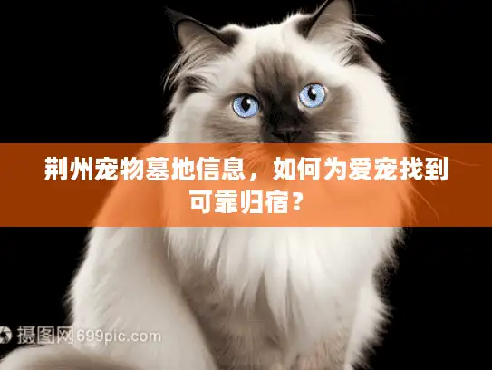 荆州宠物墓地信息，如何为爱宠找到可靠归宿？