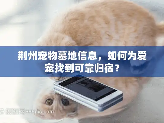 荆州宠物墓地信息，如何为爱宠找到可靠归宿？