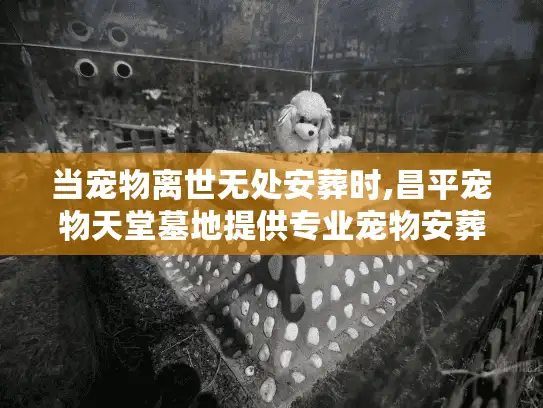 当宠物离世无处安葬时,昌平宠物天堂墓地提供专业宠物安葬选择