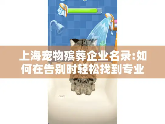 上海宠物殡葬企业名录:如何在告别时轻松找到专业可靠的服务