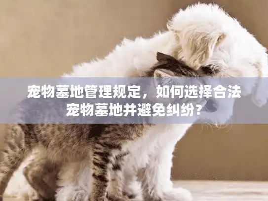 宠物墓地管理规定，如何选择合法宠物墓地并避免纠纷？