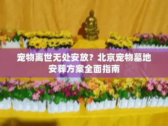 宠物离世无处安放？北京宠物墓地安葬方案全面指南